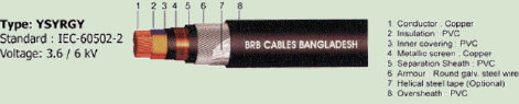 scinrad004006.jpg